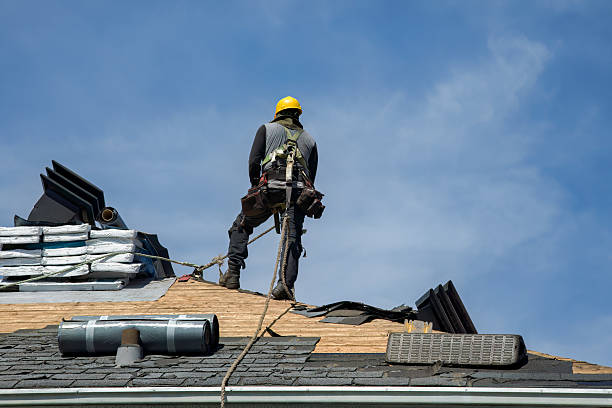 Professional Gutter Installation technician working in Tuscumbia, AL